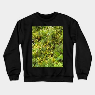 Green Moss Nature Forest Crewneck Sweatshirt